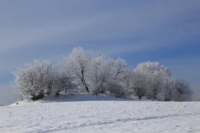 image Krása ledu