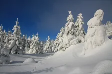 image Meluzína
