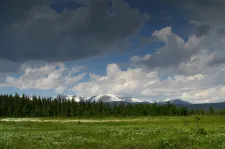 image Sarek