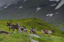 image Kärkevagge