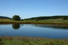 image Týnecko