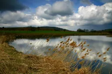image Mnichovec