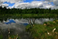 image Mechové jezero