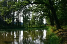 image Travný rybník