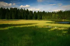 image Rolavský rybník