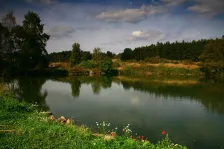 image Pecerady
