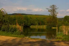 image Beránek s lyskou