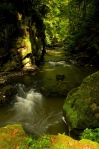 image Rokle Doubravy