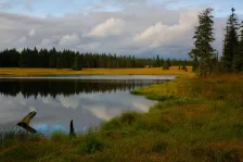 image Mrtvý rybník