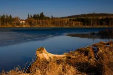 image Trnávka