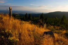 image Meluzína