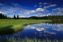 image Mrtvý rybník