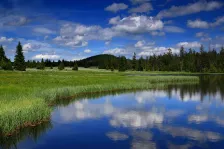 image Mrtvý rybník