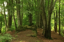 image Čertova zeď