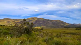 image Scotts Peak Dam rd
