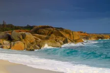 image Swimcart Beach