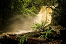 image Mathinna Falls