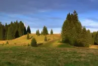 image Panorama