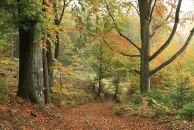 image Podzim v Lužických