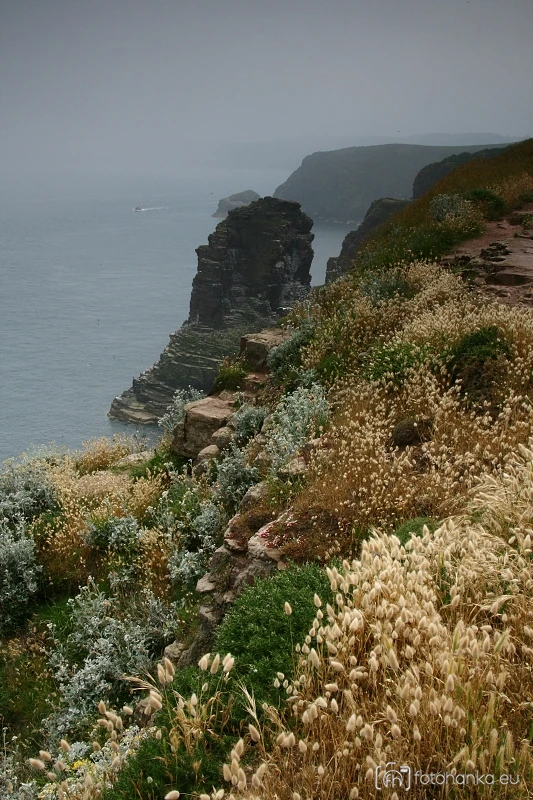 Cap Fréhel