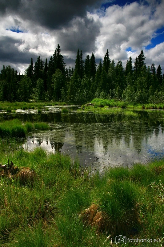 Mechové jezero