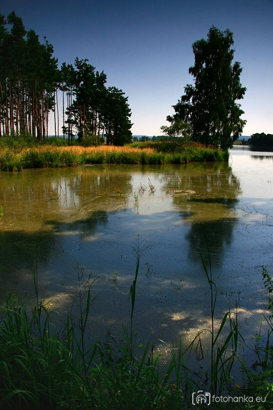 Kardašova Řečice
