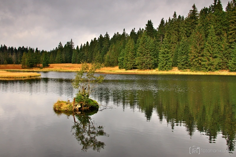 Rolavský rybník