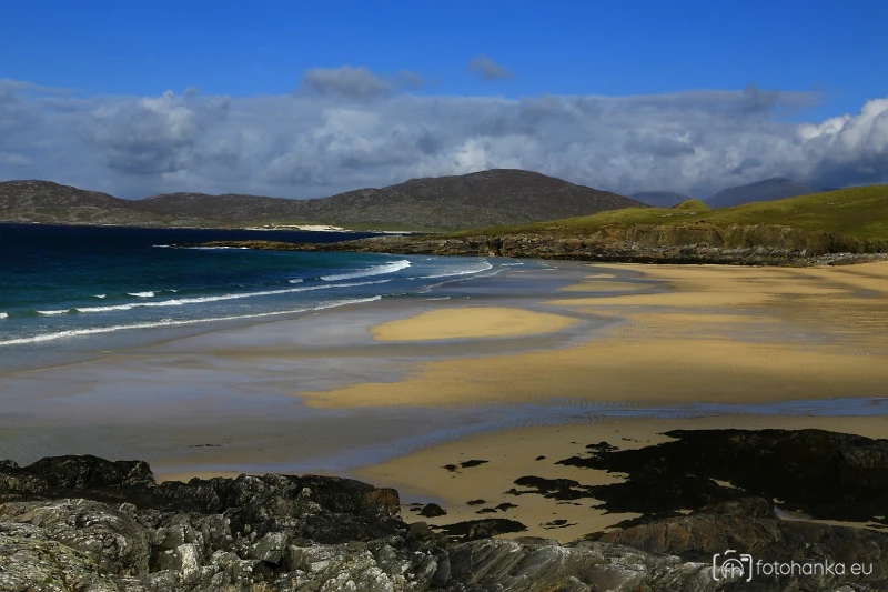 Harris