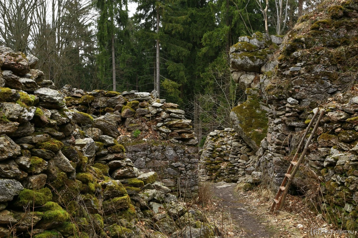 Štarkov