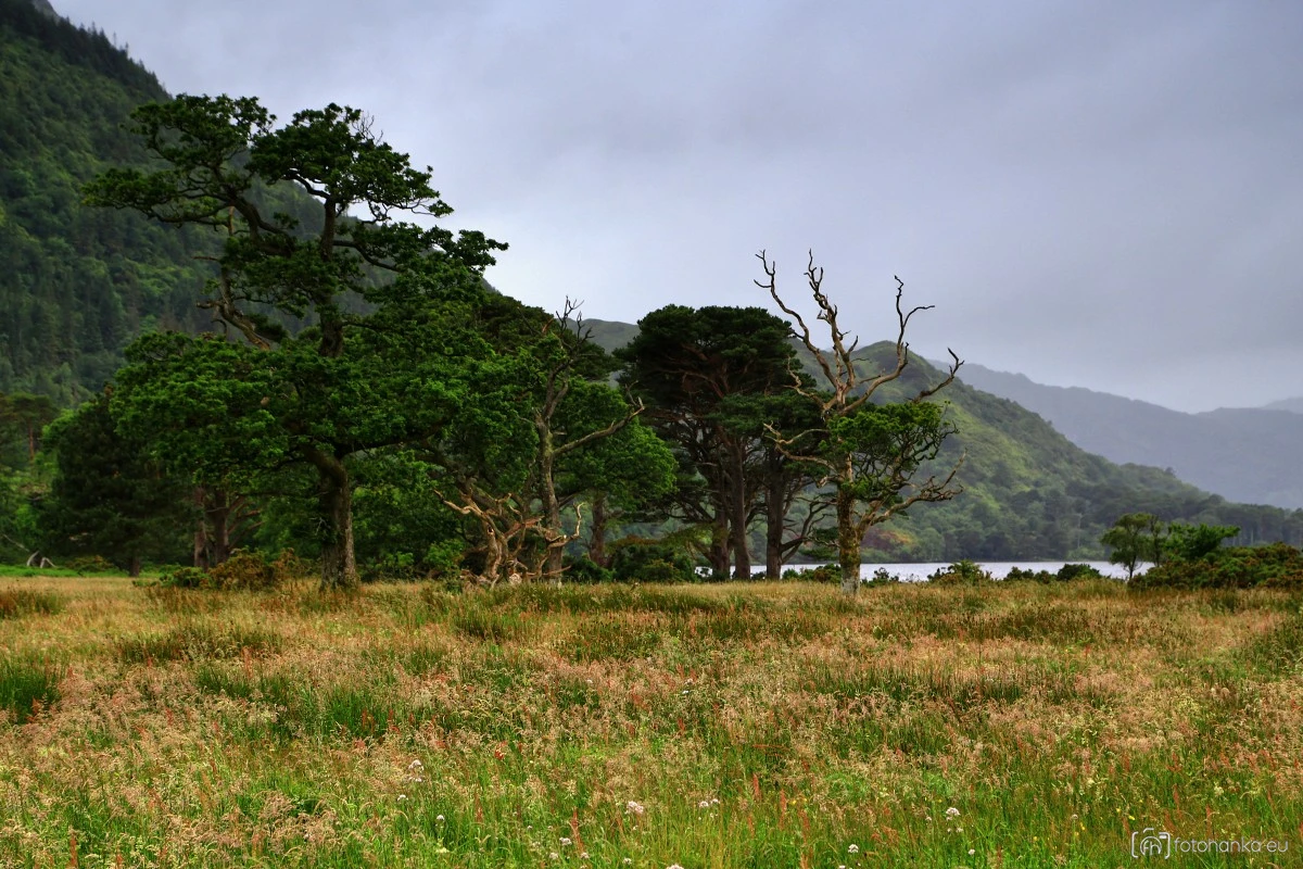 Národní park Killarney