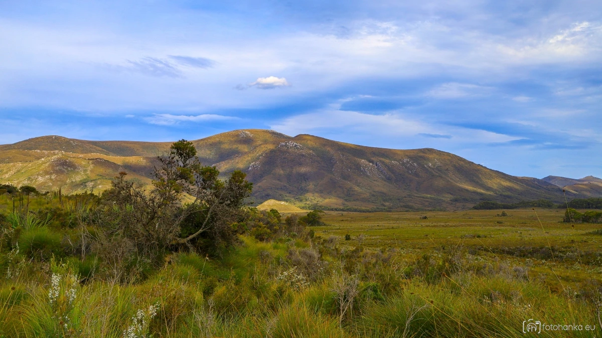 Scotts Peak Dam rd