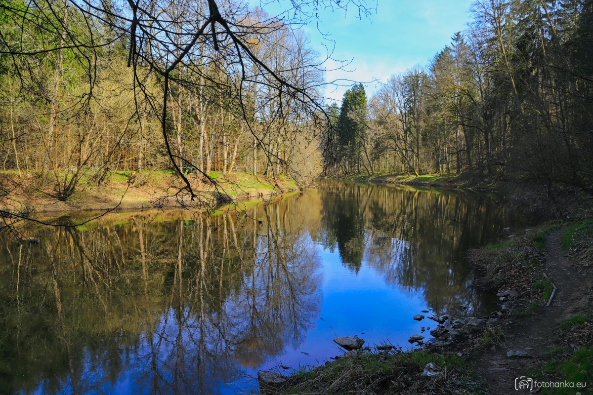 Lužnice