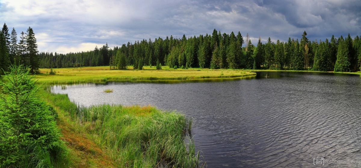 Rolavský rybník